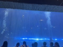 -华夏文旅西安度假区