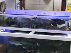 -西归浦每天偶来市场