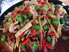 火爆仔姜鱼肚-成都吃客(九眼桥店)