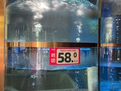 -蜀滋香鲜鱼美蛙火锅(339店)