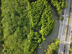 -桤木河湿地公园