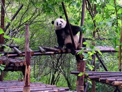 -岗上渣渣老火锅(两路口店)