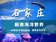 -石家庄极地海洋世界