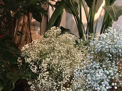 -缦云里花园餐厅