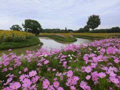 -花开海上生态园