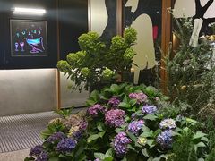 -Fuzzy Bistro 浮几韩餐·茶酒馆
