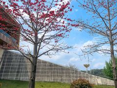 -飞凤山奥体公园