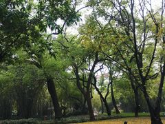 -晓港公园