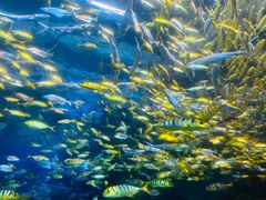 -太平洋海底世界