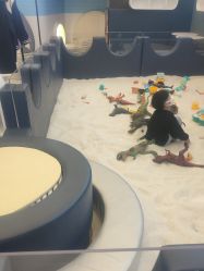 -Land Mark 蓝马乐园(印象城店)