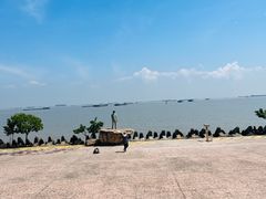 -上海滨江森林公园