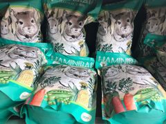 -瑞派·关忠动物医院·异宠专科·犬猫肿瘤·皮肤专科(望京店)