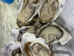 -东山羊庄(八卦岭店)