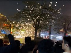 -厦门方特东方神画