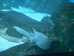 -海合安成都极地海洋公园