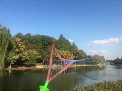 -白塘生态植物园