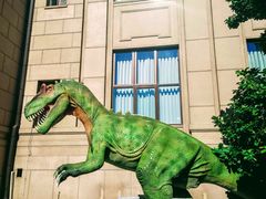 -国家自然博物馆