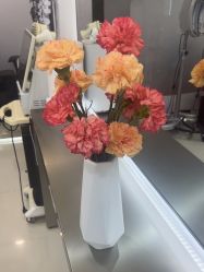 -HaLo hair studio