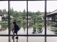 -西湖国宾馆·紫薇厅