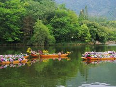-深圳仙湖植物园