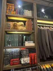 -LDIAMON西服定制(温州店)