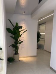 -魔型社烫染店