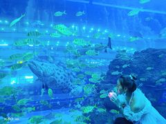 -成都浩海立方海洋公园