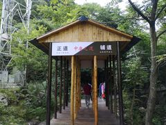 -青峰峡国家森林公园