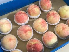 -老袁家蜜桃农场·阳山水蜜桃