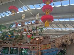 -南宫五洲植物乐园