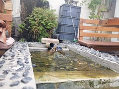 -丽江庭院之爱在路上(西单店)