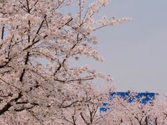 -龙美术馆(西岸馆)