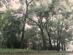 -四川大学(望江校区)