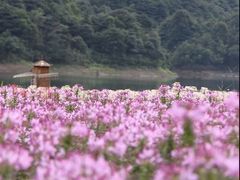 -广州市石门国家森林公园