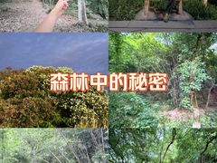 -峙山公园