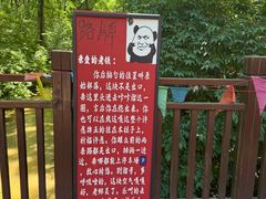 -大青沟风景区