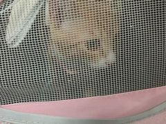 -半岛宠物医院24小时(白果林店)