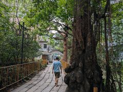 -小洲村