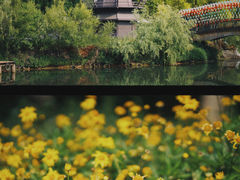 -捞渔河湿地公园