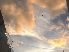 -汉堡双倍·喜鹊堡