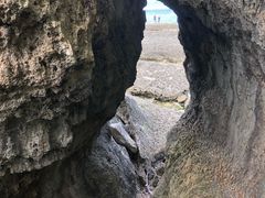 -鹅銮鼻公园