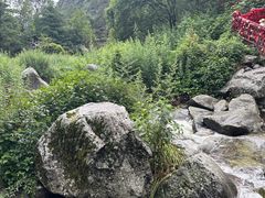 -苍山感通索道