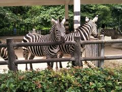 -贵州森林野生动物园