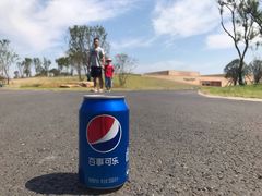 -盘龙城国家考古遗址公园