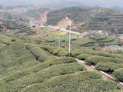 -安溪清水岩