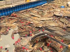 -一方渔歌蒸汽海鲜自助(文化路万达广场店)