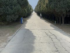 -秦始皇帝陵博物院-丽山园