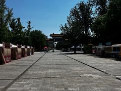 -曹州牡丹园