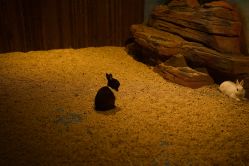 -长沙云顶星河游乐园(步步高·梅溪新天地店)