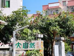-大自然素食(望桐路店)